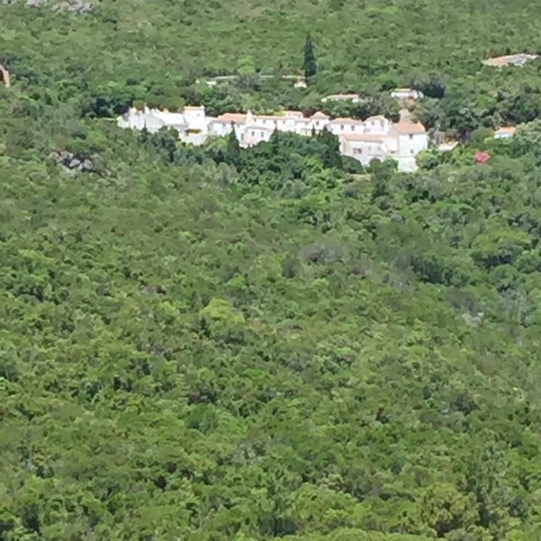 Casa Do Farol Da Arrabida Villa ปอร์ชิโน ดา ฮาร์บิดา ภายนอก รูปภาพ