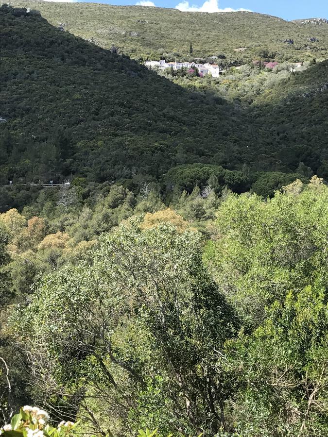 Casa Do Farol Da Arrabida Villa ปอร์ชิโน ดา ฮาร์บิดา ภายนอก รูปภาพ