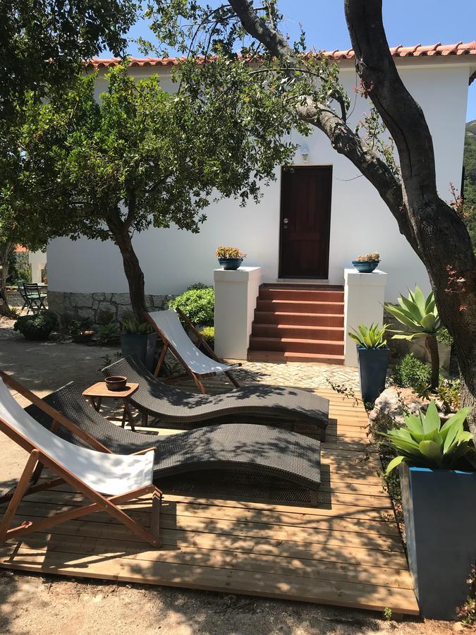 Casa Do Farol Da Arrabida Villa ปอร์ชิโน ดา ฮาร์บิดา ภายนอก รูปภาพ